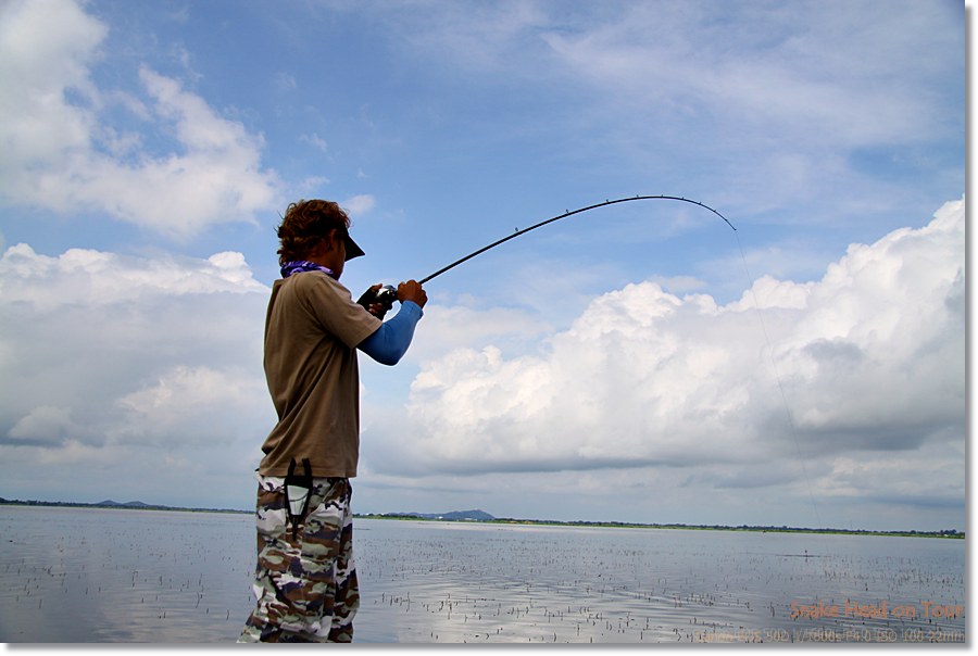 ล้อเล่นนะ  น้าพี อย่าคิดมาก