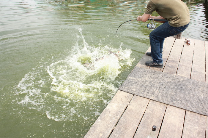 [url='http://www.siamfishing.com/content/view.php?id=2608&cat=info']:grin: :grin: :grin: [u][b] รา