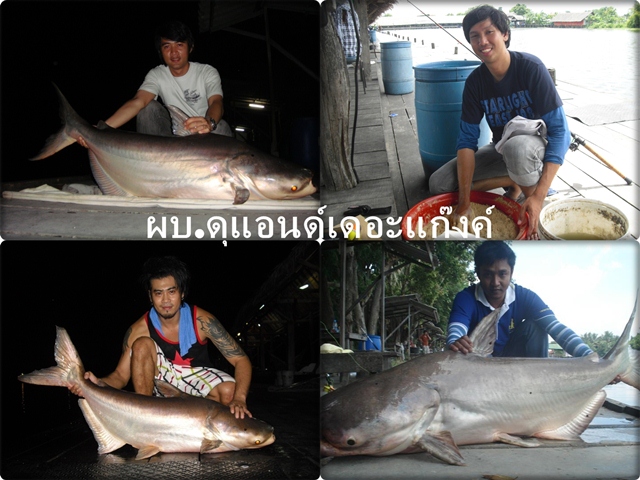 เย้ เย้ น้าโย come back  :grin: :grin: :cheer: :cheer:  :party: :party: