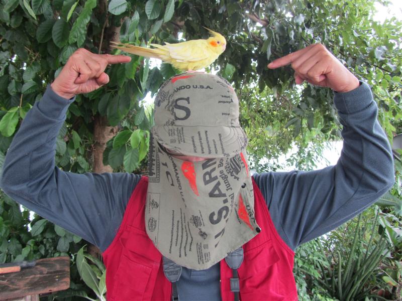 [q][i]อ้างถึง: หนึ่งบางนา posted: 29-09-2553, 13:05:18[/i]

ง
