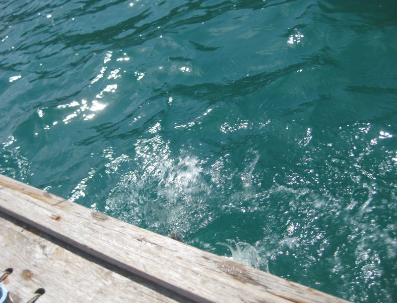 [q][i]อ้างถึง: Jak_Fishing posted: 29-09-2553, 18:09:25[/i]

น้าครับ
