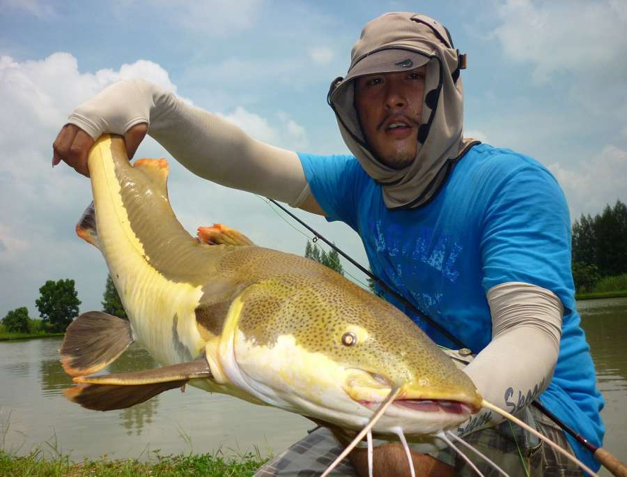 นี่ไงครับต้นเหตุที่ทำให้คันขยายเบ
