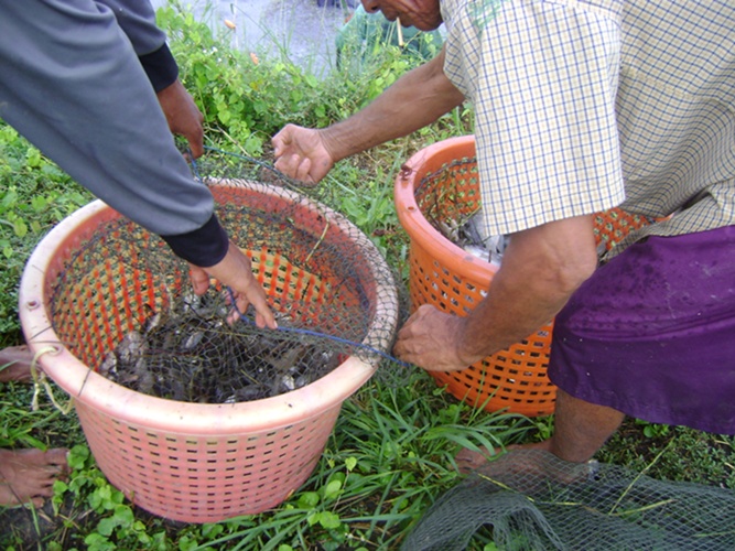 กุ้ง เต็มหลัว เลยครับบบ :love: :love: :love: :love: :love: :love: