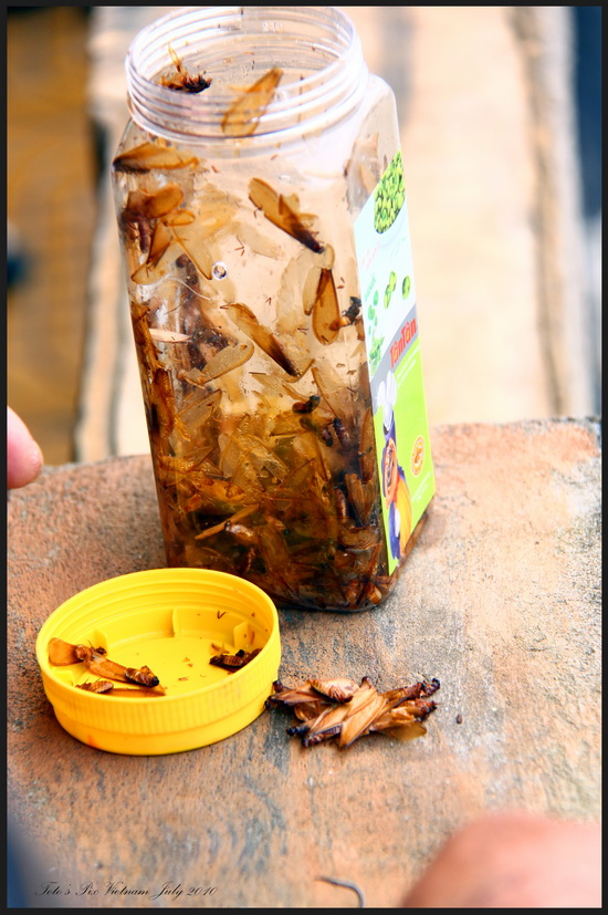 เหยื่อเทพ แมงเม่าร้า...Mangmaora"" ต้องบอกว่าร้าจิงๆ กลิ่นสุดๆ 
 :laughing: :laughing: :laughing: