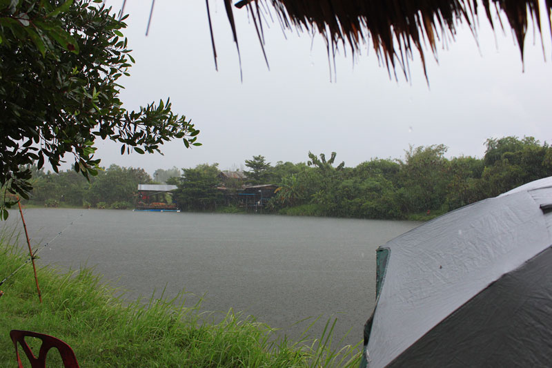 เวลาปาเข้าไป เกือบจะ 4 โมงแล้ว ฝนถึงเริ่มที่จะซาเม็ดลง ผมก็ทำอะไรไม่ได้แล้ว ฝนลงขนาดนี้ ปลามันคงอิ่ม