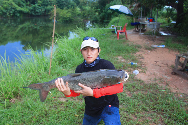 ผมขอลากันไปด้วยภาพนี้แล้วกันครับ ภาพหมดแล้ว

ขอบคุณน้าทุกท่านที่บ่อ ที่เข้ามาช่วย ลุ้น ช่วยตัก ช่ว