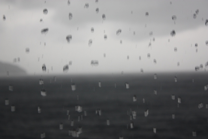 คืนนั้นฝนตกมาไม่ขาดสาย พวกเราเลยเข้านอนกันหมด 
ตื่นเช้ามาอีกที ฝนก็ยังตกอยู่ บังหลีเลยวิ่งเข้าฝั่ง