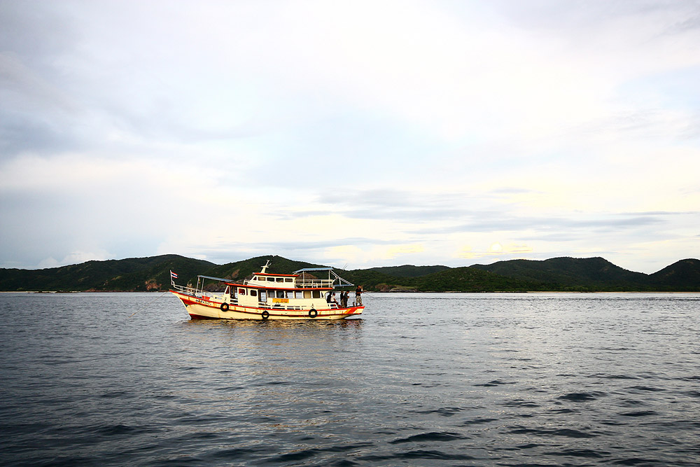 ไต๋หนวดนำเรือเข้าหมายที่ช่องครามโ