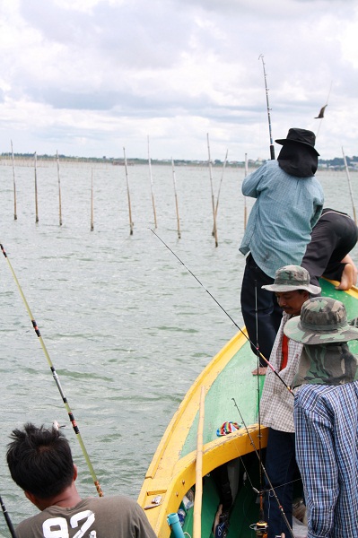 ลุ้นกันใหญ่...กำลังเกียวปลาเอาขึ้นเรือ