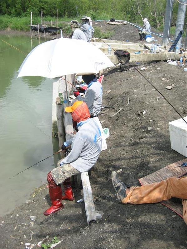 โห นั่งเรียงกันเป็นแถวเลย (นั่งตกปล