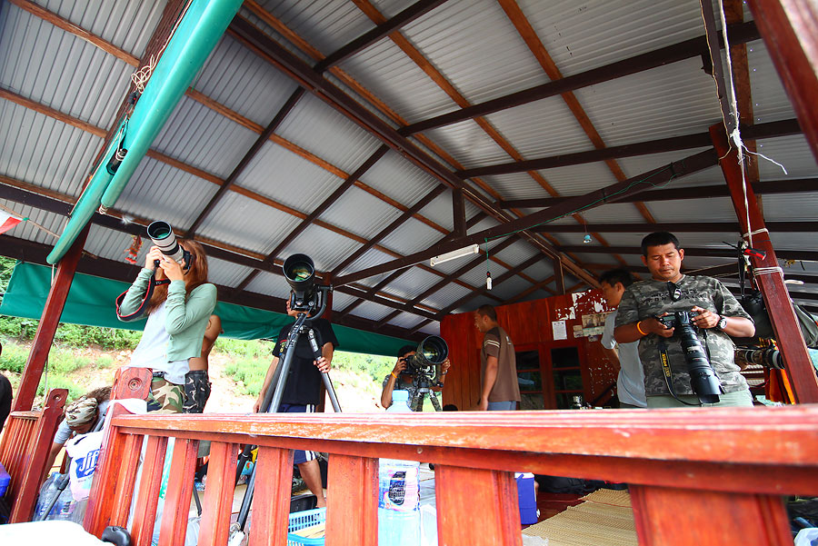 ข้อบังคับ ของการถ่ายรูปนก.....
ห้ามใช้เลนส์ที่มีความยาวลำกล้องต่ำกว่า 1 ฟุต
 :laughing: :laughing:
