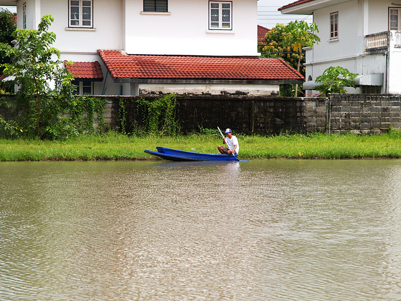 ตรวจตาข่ายเรียบร้อย พายเรือกลับ น้าเล็ก ตะโกนถาม น้ามิตร โดนกระโห้ รึยัง  :grin: :grin: :grin: