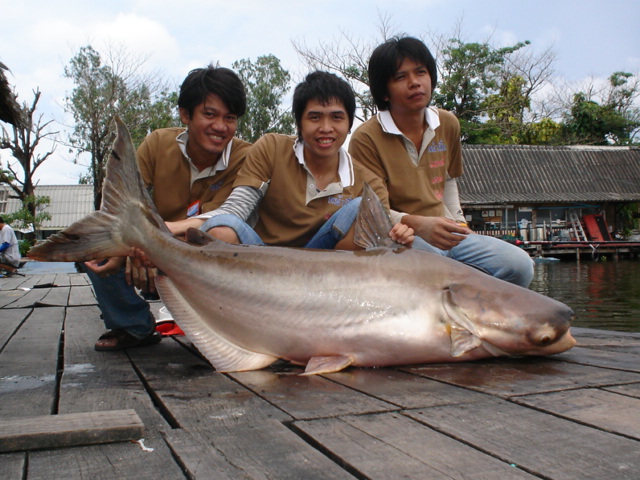 ตัวใหญ่ๆ ของหน้าลื่น  :love: :love: :love: