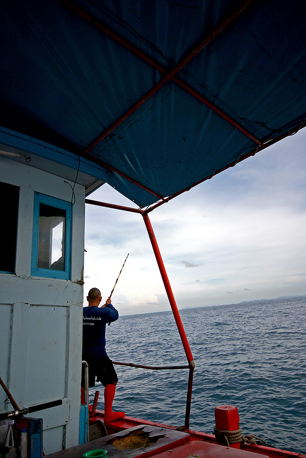 
 [b]  เสียงไต๋เรือง  ร้องโวยวาย

  ปลากด
