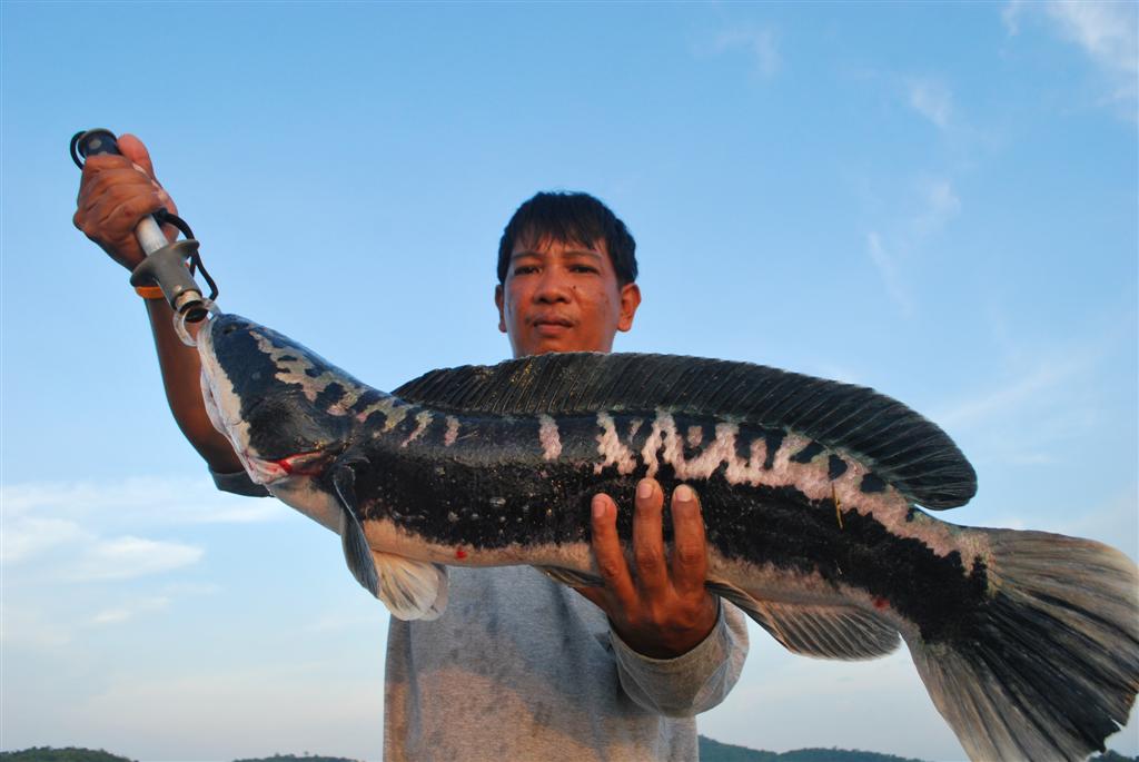 


หวัดดีครับน้า.....kanok_tan 




หวัดดีครับ