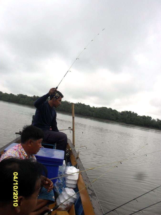 [q][i]อ้างถึง: niwat009 posted: 05-10-2553, 23:05:18[/i]

ขอต้มยำกุ้งทีหนึ่งครับน้า :umh: :umh: :u