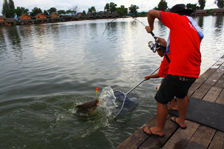 ดูสปินบ้าง