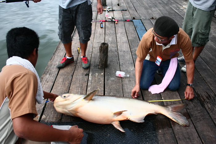 152cm มะติดรางวัล

 :grin: :grin: :umh:
