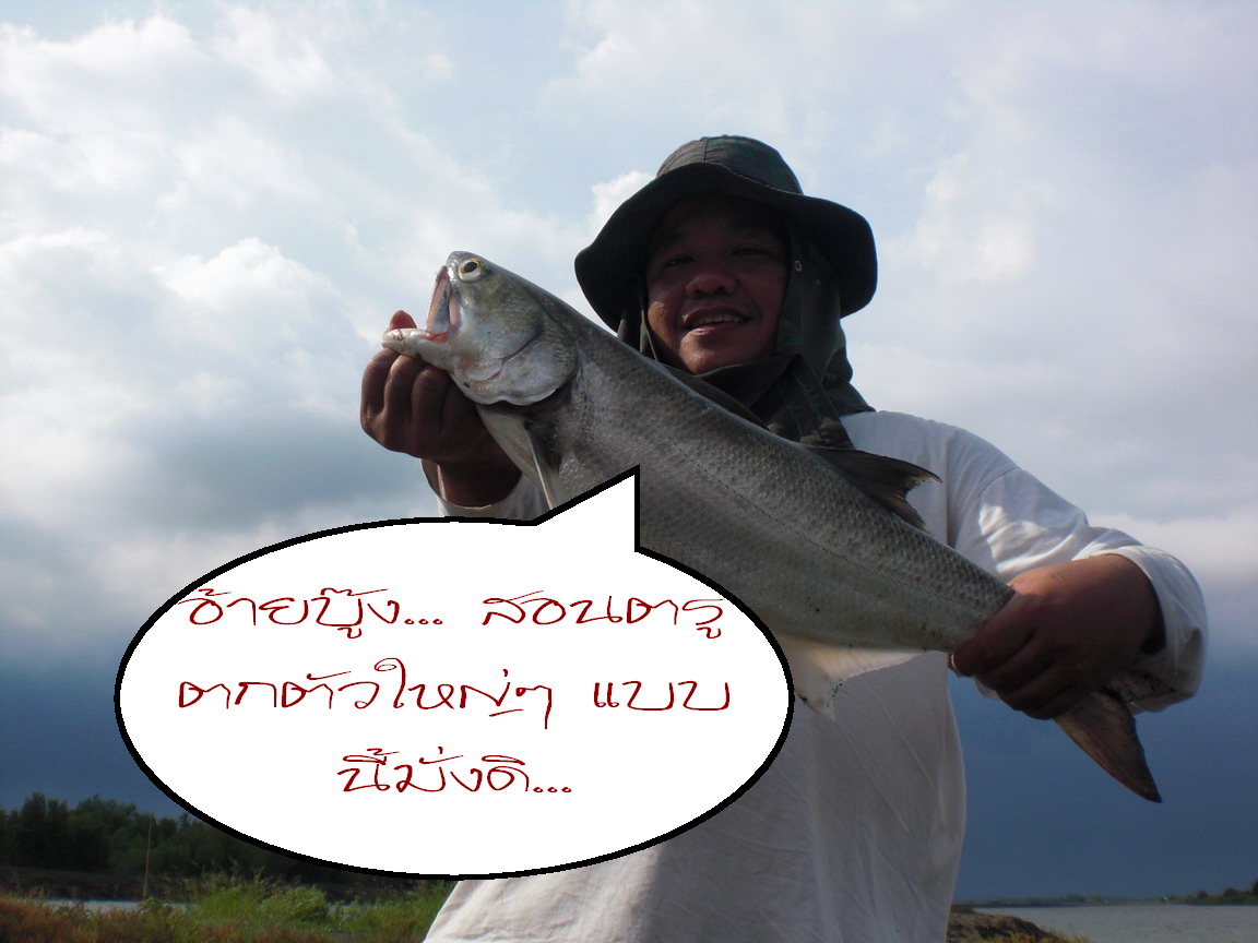 ทักทายกันต่อเนื่องเลยนะครับ  :smile: :smile: :