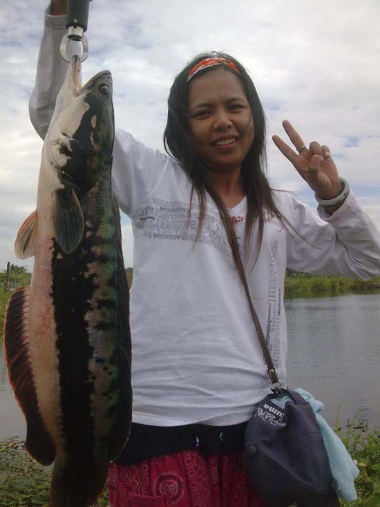 ตัวเดียวครึ่งวันก็โอเคครับสำหรับว�