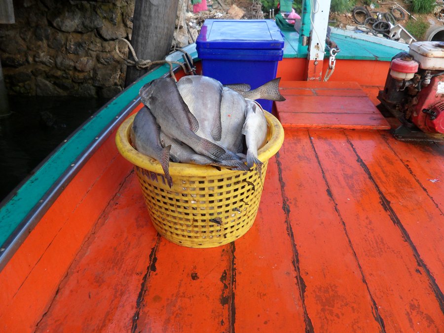 เอาน่าๆๆๆๆเรือเล็กๆๆได้เเค่นี้......ดีถมเถเเล้ว.......คราบบบบ^^