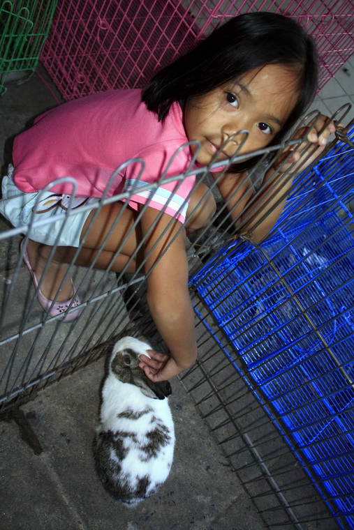 น้องสาวชอบกระต่าย  :umh: :umh: :umh: :umh: ย่างไฟอ