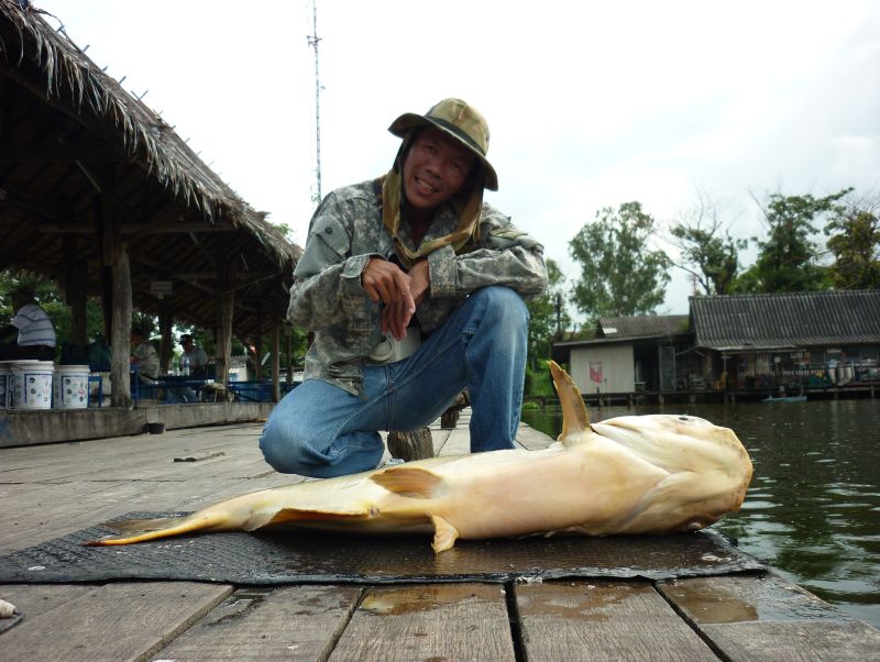 กล้ามเนื้อชักพร้อมออกแรงแล้ว  :smile:
