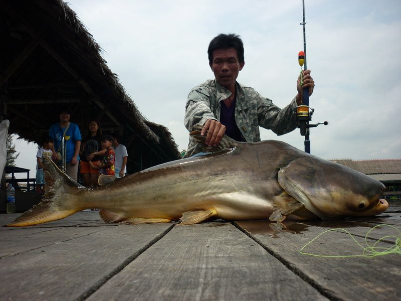 8 กระดานความสำเร็จของตัวนี้ผมต้องข