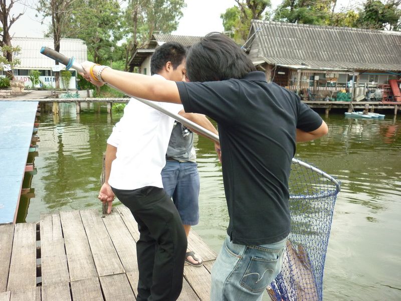 เพื่อนวิทย์สอยซะ