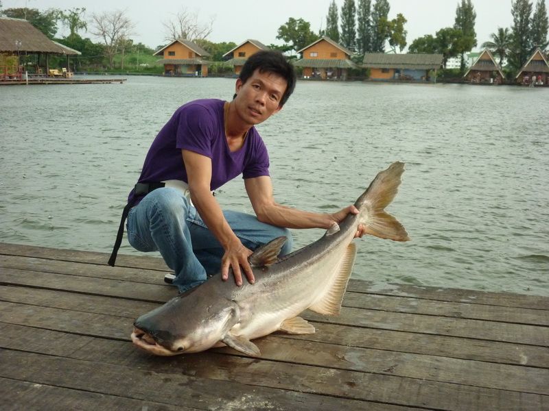 อัดตอนฝนตกมะมีใครถ่ายเลยง่ะ
