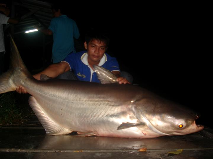 อีกรูปนาน ๆ มันจะได้สักที หาดูอยาก ปรกติ มันจาหลุด :laughing: :laughing: :laughing: