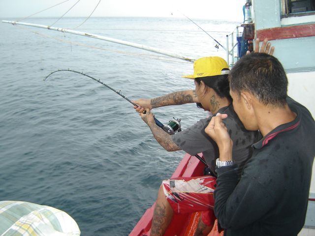 หวัดดีคับ
น้าfish2499
น้าnuing tota
น้าijoe
น้าbulino
น้าีืunclenor
น้าdank
น้าปลาเก๋าดอกดำ
