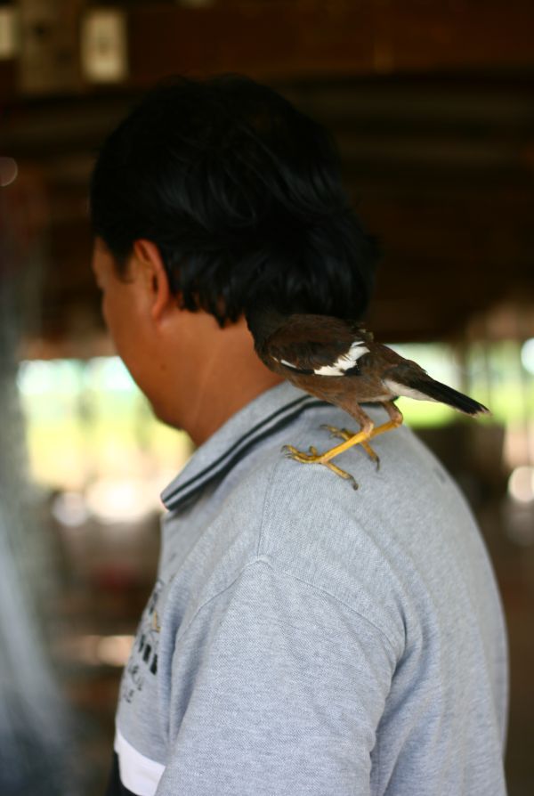 [b]เพื่อนใหม่ของน้าเหน่งเค้า(เกาะไหล