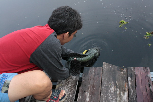 ปล่อยเพื่อวันข้างหน้า
