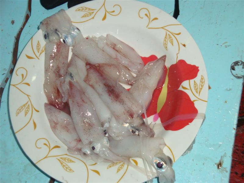 เหยื่อใช้แบบนี้ครับ.....หมึกตายล้วนๆ หาหมึกเป็นมายาใส้ไม่ได้เลย. วิทยุไปถามเรือไดร์ ปลายสายตอบมาว่า 