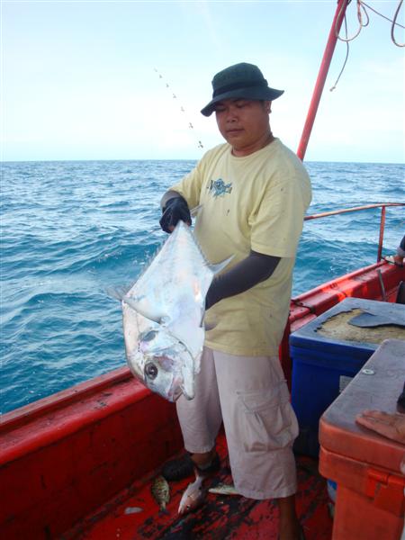 สวัสดีครับน้า [b]fish2499[/b]   


อีกซักรูป เมื่อกี๊ ถ่ายแล้วมืดๆพิกล  
 :grin: :grin: