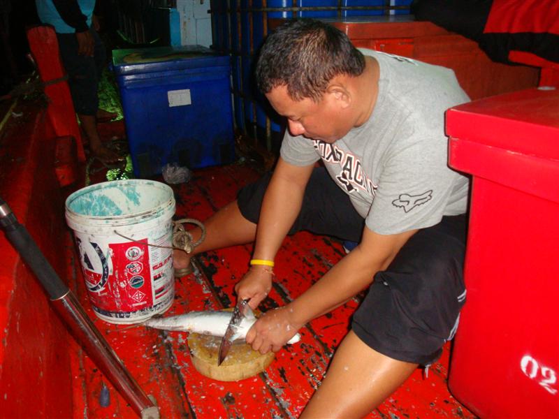 แขกโต๊ะหัวเรือ สั่งปลาดิบ.........มือแล่จำเป็นจัดให้   :cheer: :cheer: :cheer:




ขอพักแค่นี้ก