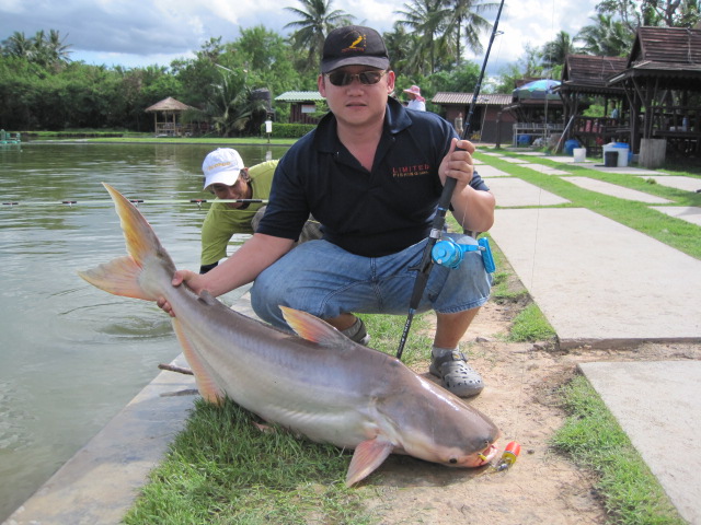 ป๋าวงษ์หน้าลื่นครับ   :smile: :smile: :smile: