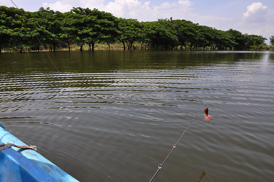 ลอยเรือหาปลาอยู่พักใหญ่ ตีไปปึ๊กๆๆๆ เฮ้ย....น็อต ติดตออีกแล้วว่ะ :grin: :grin: :grin: