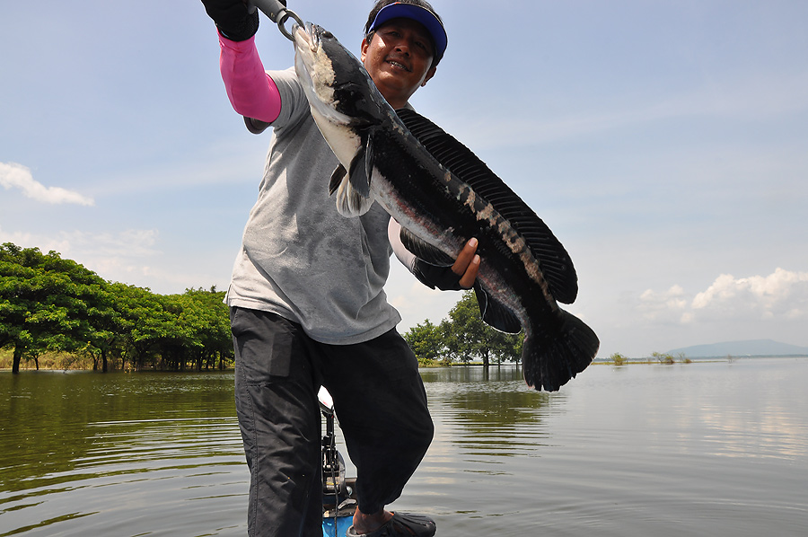 ขึ้เรือมาแล้ว แต่ดูเจ้าน็อตถ่ายรูปให้ผมดิ :ohh: :ohh: :ohh:
รีบถ่ายใหม่เลยน่ะน็อตตตตตตตตตตตตตต :gri