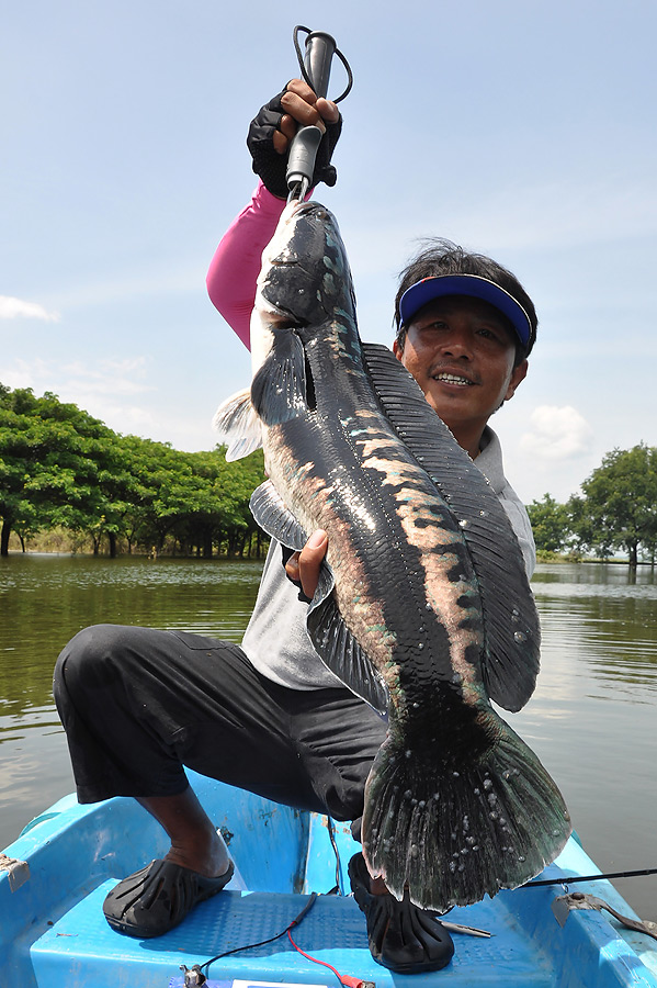 เออ....แบบนี้ค่อยยังชั่วหน่อย :grin: :grin: