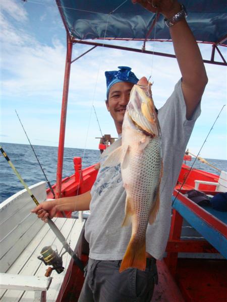 ยกถ่ายรูปหน่อย  อังสุมาเกย นี่เอง  :grin: :grin: :grin: