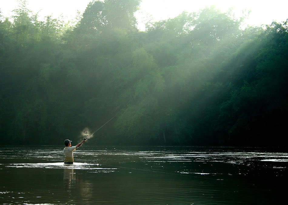  [b]หมายเลข : 510          ชื่อภาพ    " สุดกำลัง "[/b]