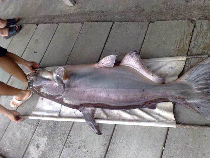 [q][i]อ้างถึง: tor..craab posted: 12-10-2553, 13:58:59[/i]

    อยู่ข้างวัดชัวร์... ถ้าว่างไปแน่ๆๆ