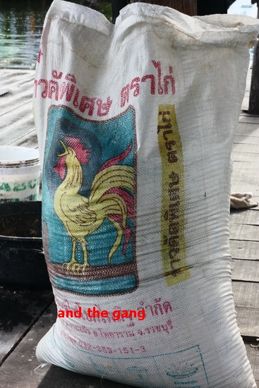 [q][i]อ้างถึง: amm posted: 12-10-2553, 11:12:16[/i]

บ้านตรูอยู่ไกล..แถมยังจะให้ไปนั่งเหงาอีก...เฮ