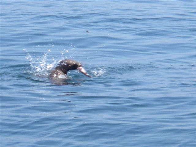 None invited guest who stole fish from one of our angler.
 :mad: :mad: :mad: :mad:
We couldn't do