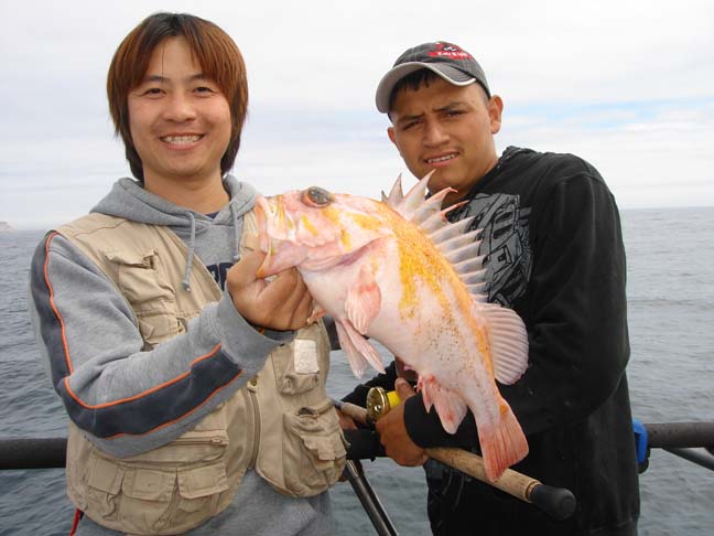 Copper rock fish............Yummy Yummy