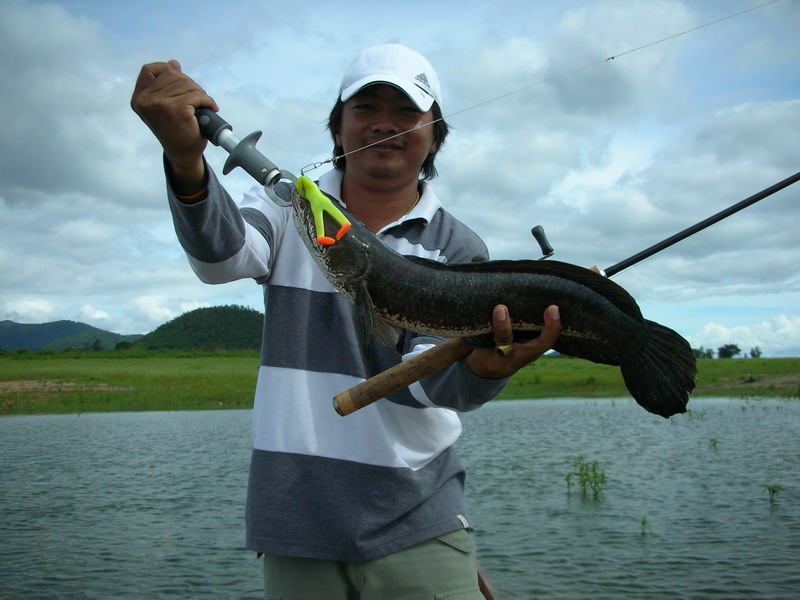 ไปเจอช่อนใหญ่ก่อนเลยวิ่งมันส์มากเลยครับ :laughing: :laughing: