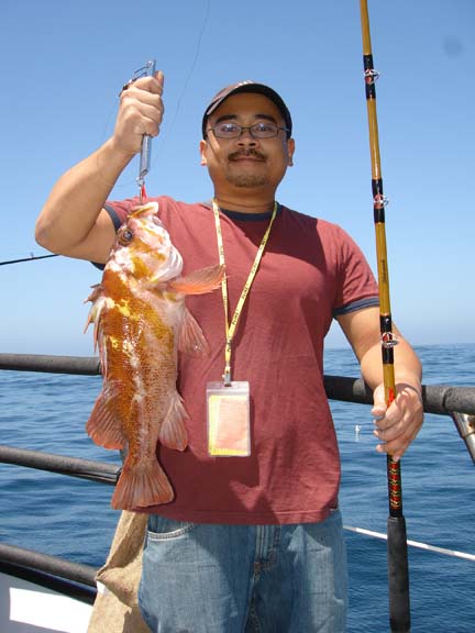 Another Cow cod krub.