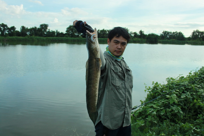 ของผมเองครับ :grin: